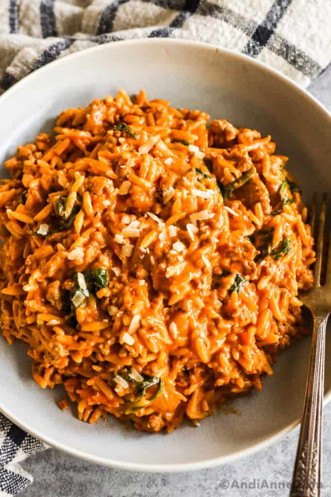 Bowl of ground turkey orzo in tomato sauce.