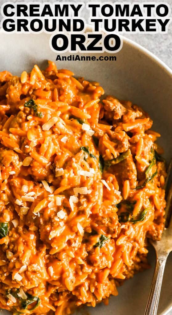 Bowl of creamy tomato ground turkey orzo