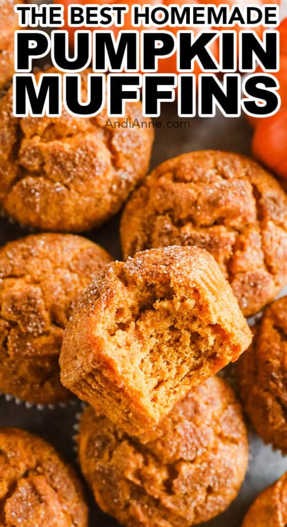 A bunch of pumpkin muffins, one with a bite taken out of it.