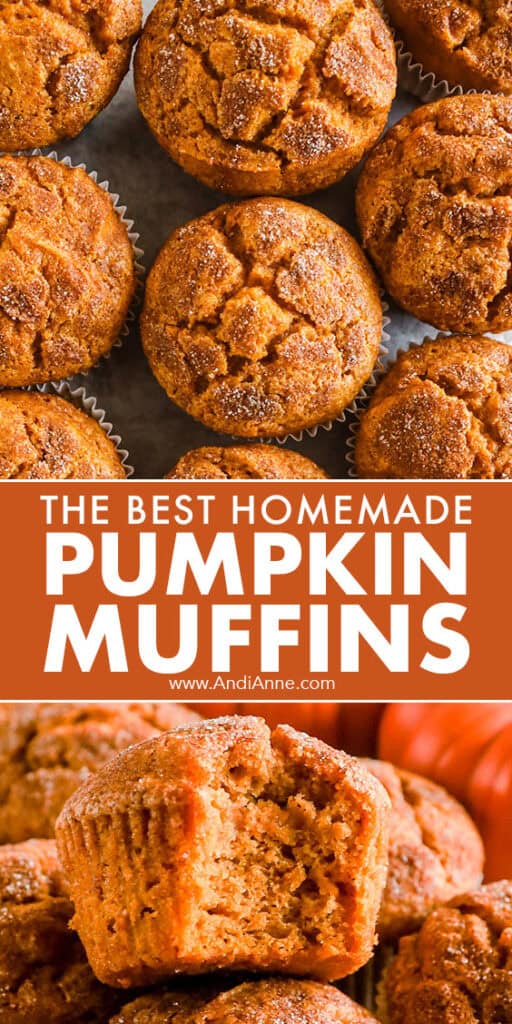 Pumpkin muffins, one with a bite taken out of it.