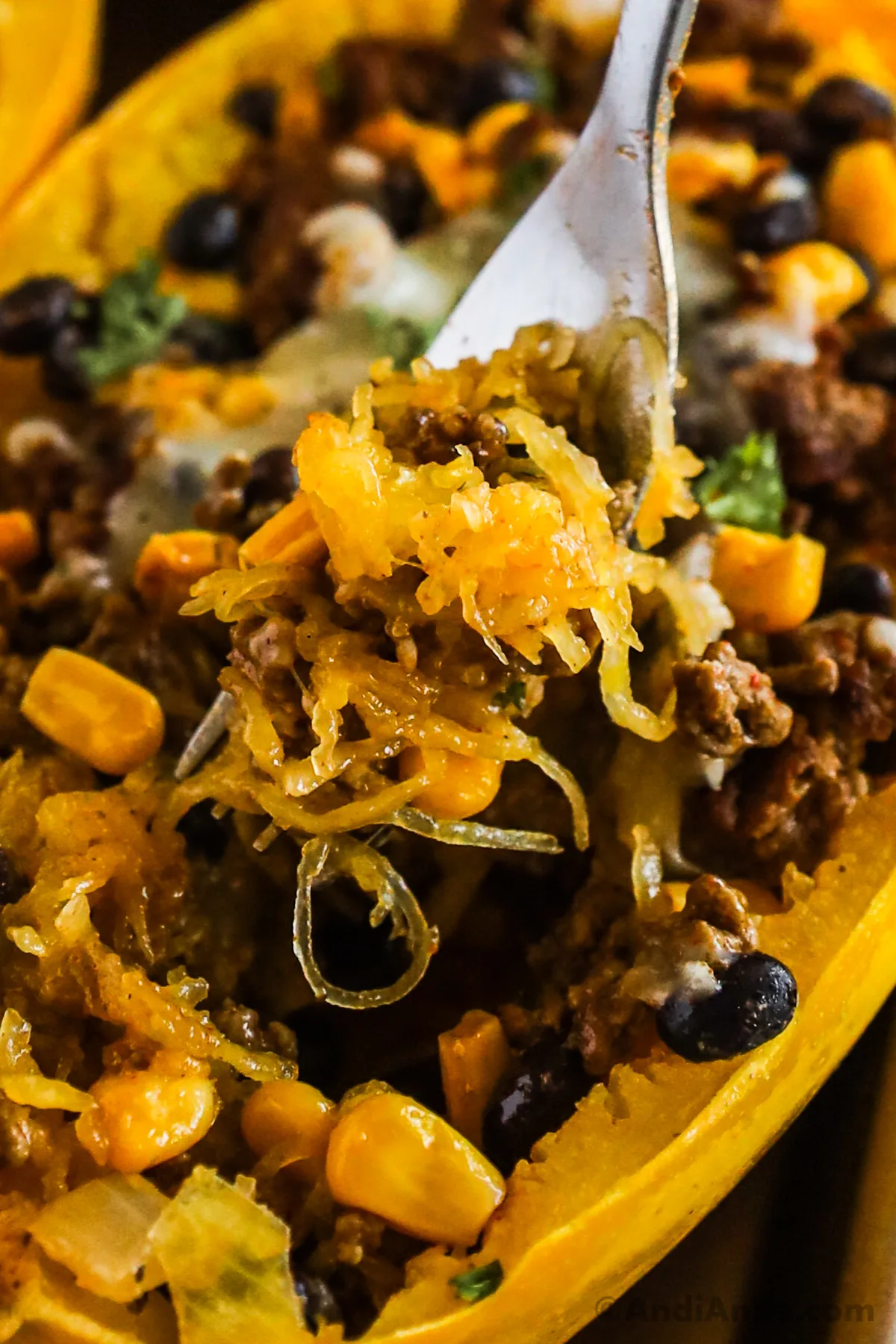 Close up of fork digging into taco and squash ingredients