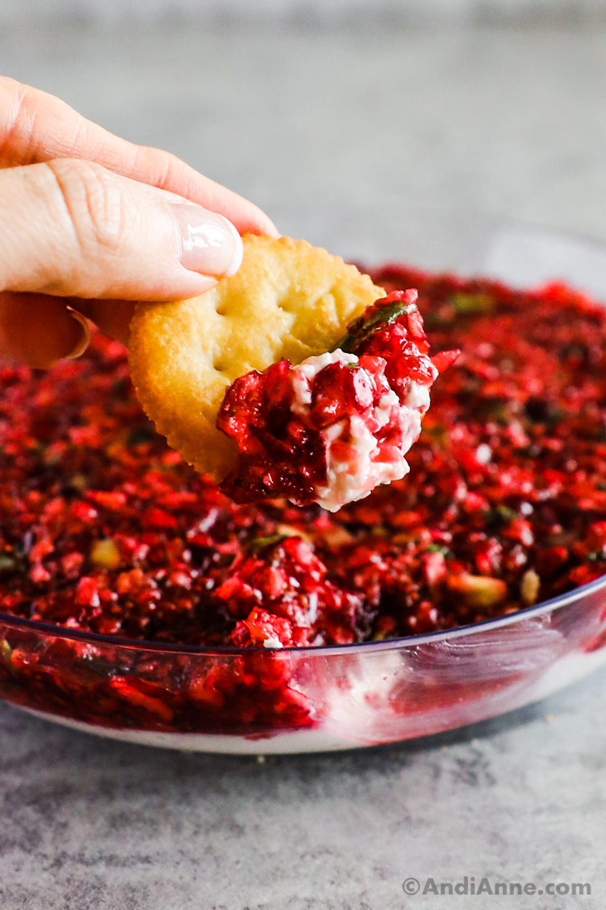 A hand holding a cracker with cranberry jalapeno dip on it. 