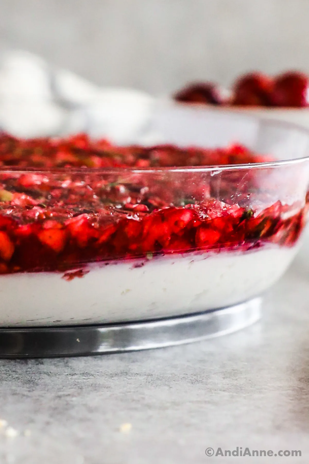 Close up of a layer of cream cheese topped with chopped cranberry mixture in a bowl.