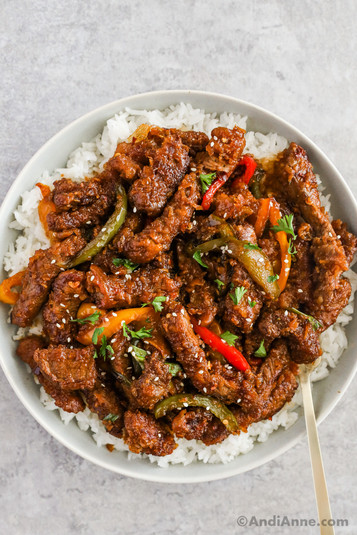 Mongolian beef with bell pepper on a bed of rice.