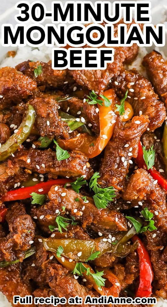 Mongolian Beef with Rice