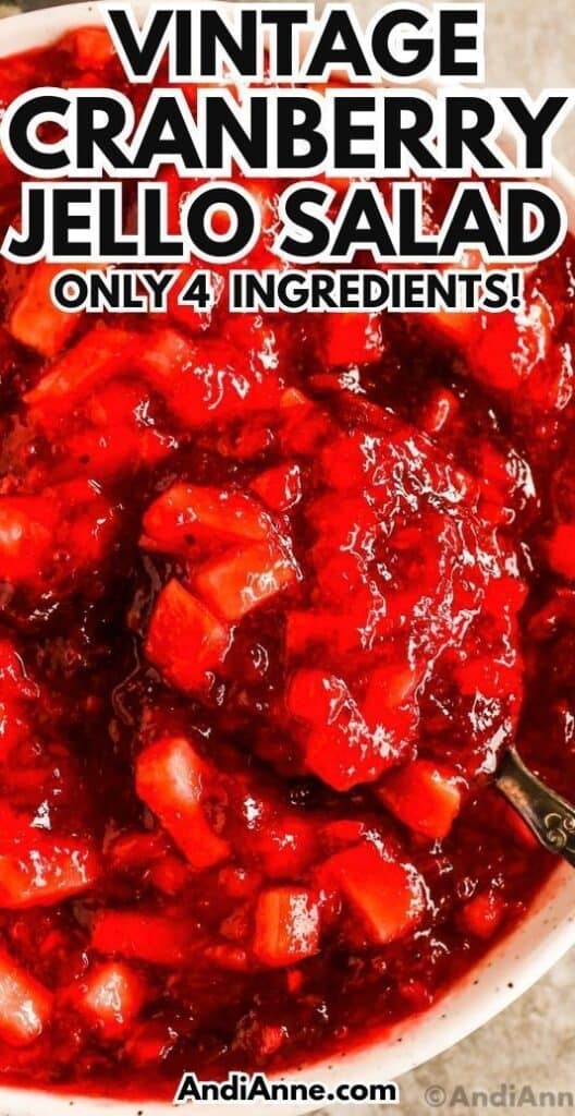 vintage cranberry jello salad in bowl