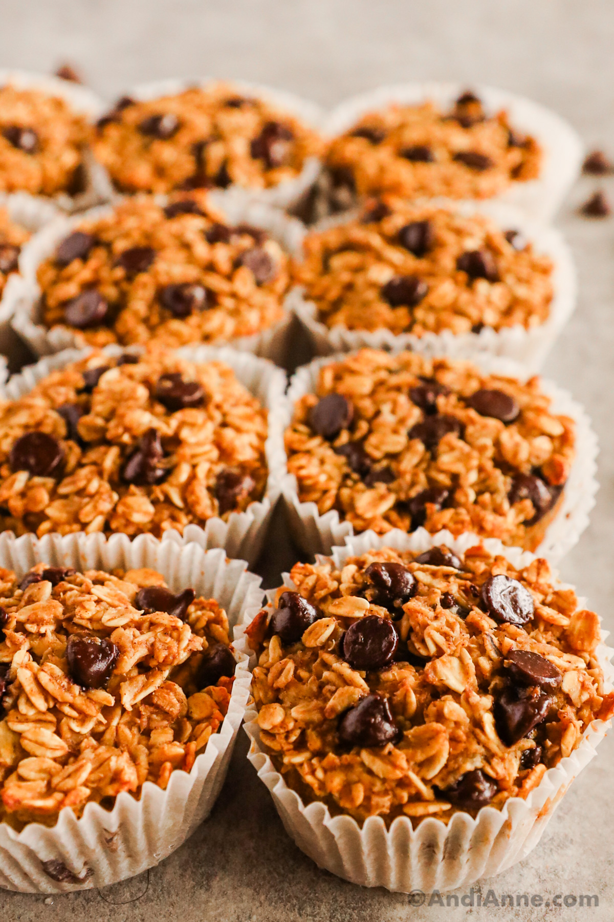 Close up of chocolate chip oatmeal muffin cups.