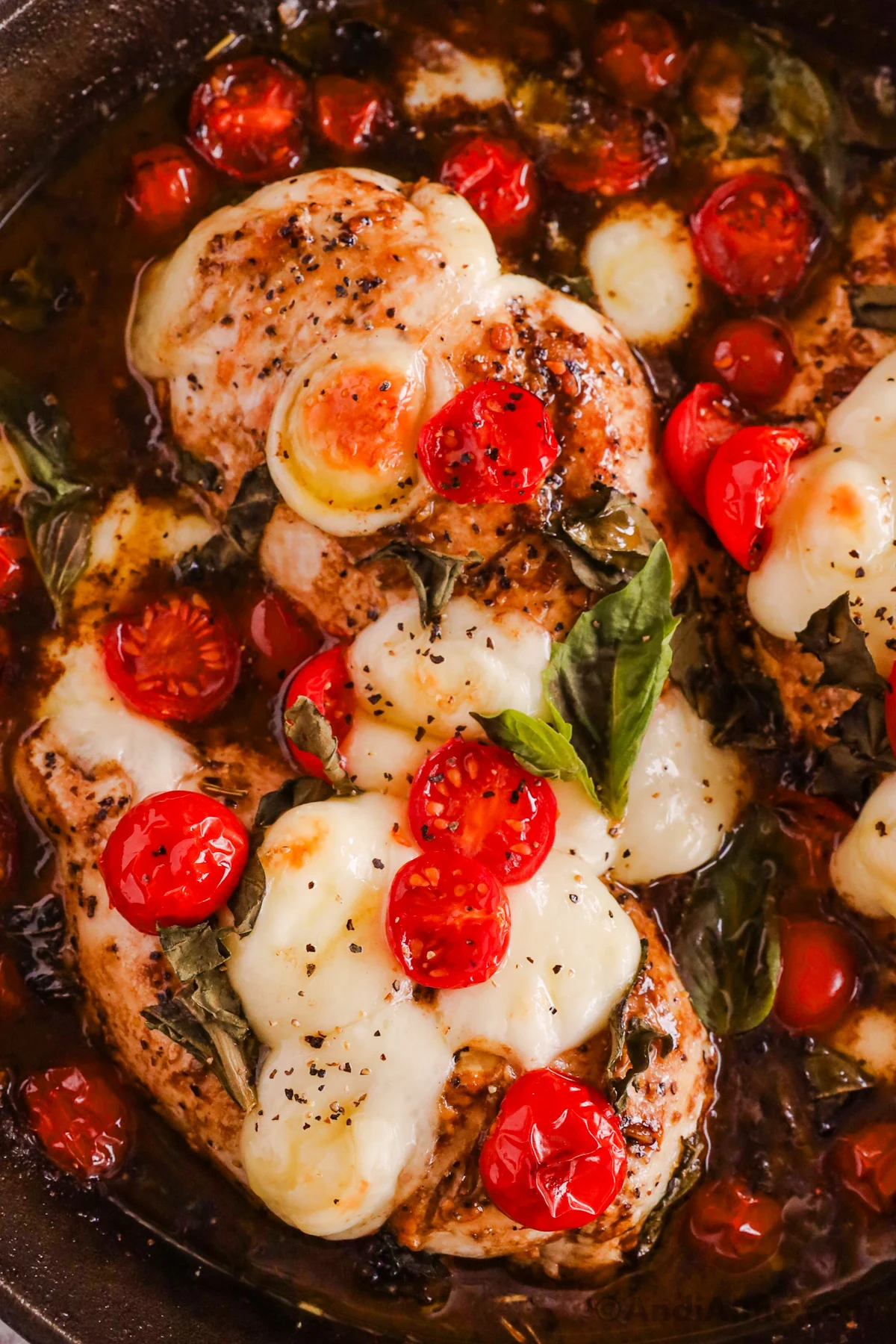 Close up of chicken breasts, cherry tomatoes, basil and cheese.