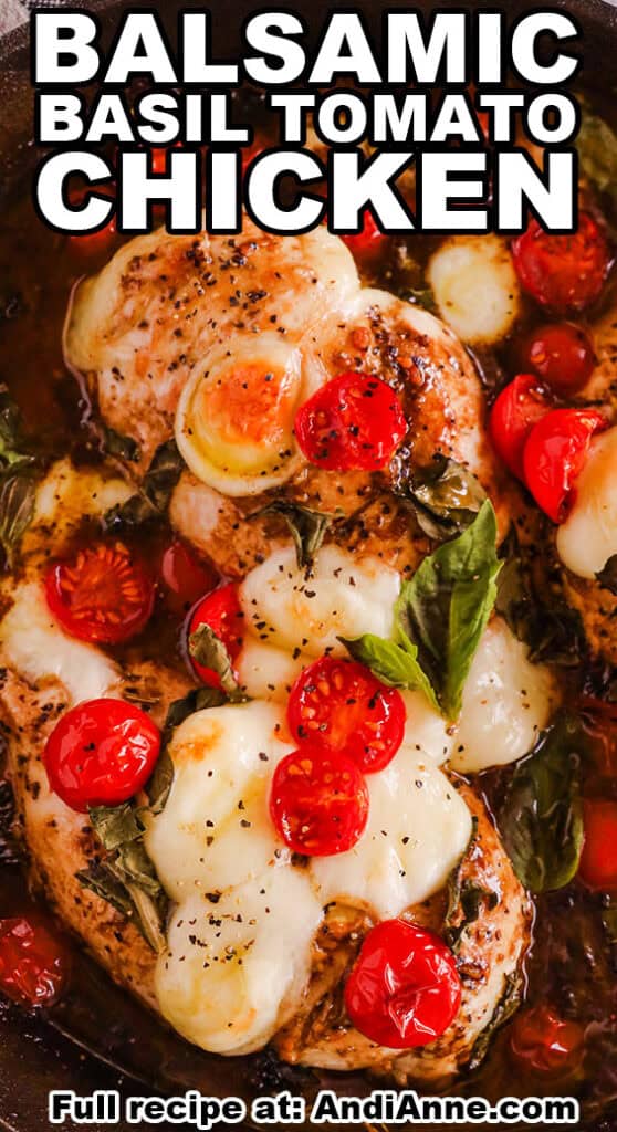Close up of balsamic basil tomato chicken breast recipe.