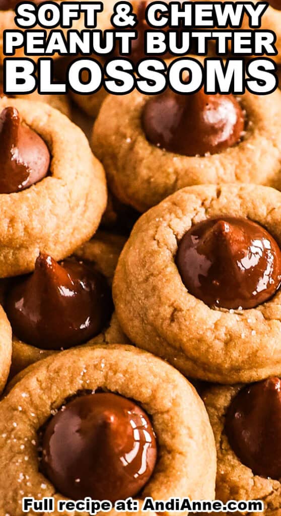 soft and chewy peanut butter blossoms close up
