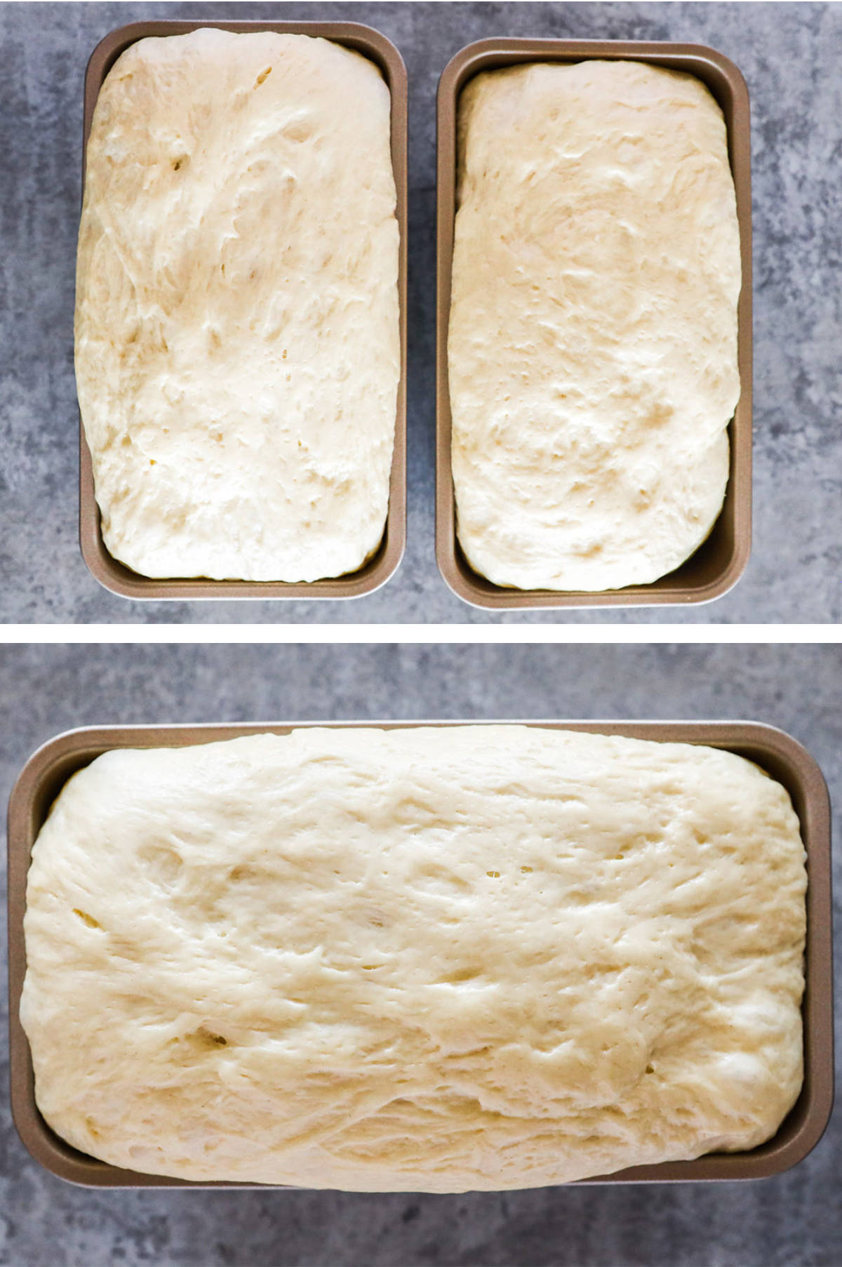 Two overhead images in one: 1. Two loaf pans with dough that has risen 1 inch above the pan. 2. Closeup of one of the pans with dough that has risen 1 inch above the pan. 