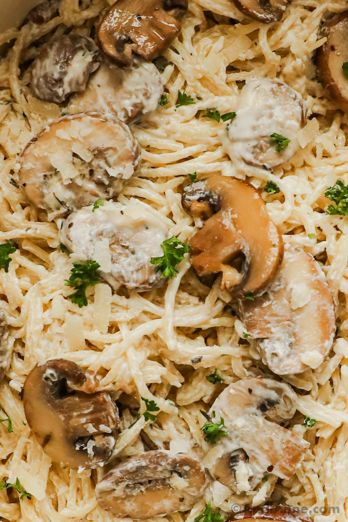 Close up of mushrooms and pasta noodles in creamy mushroom pasta recipe.