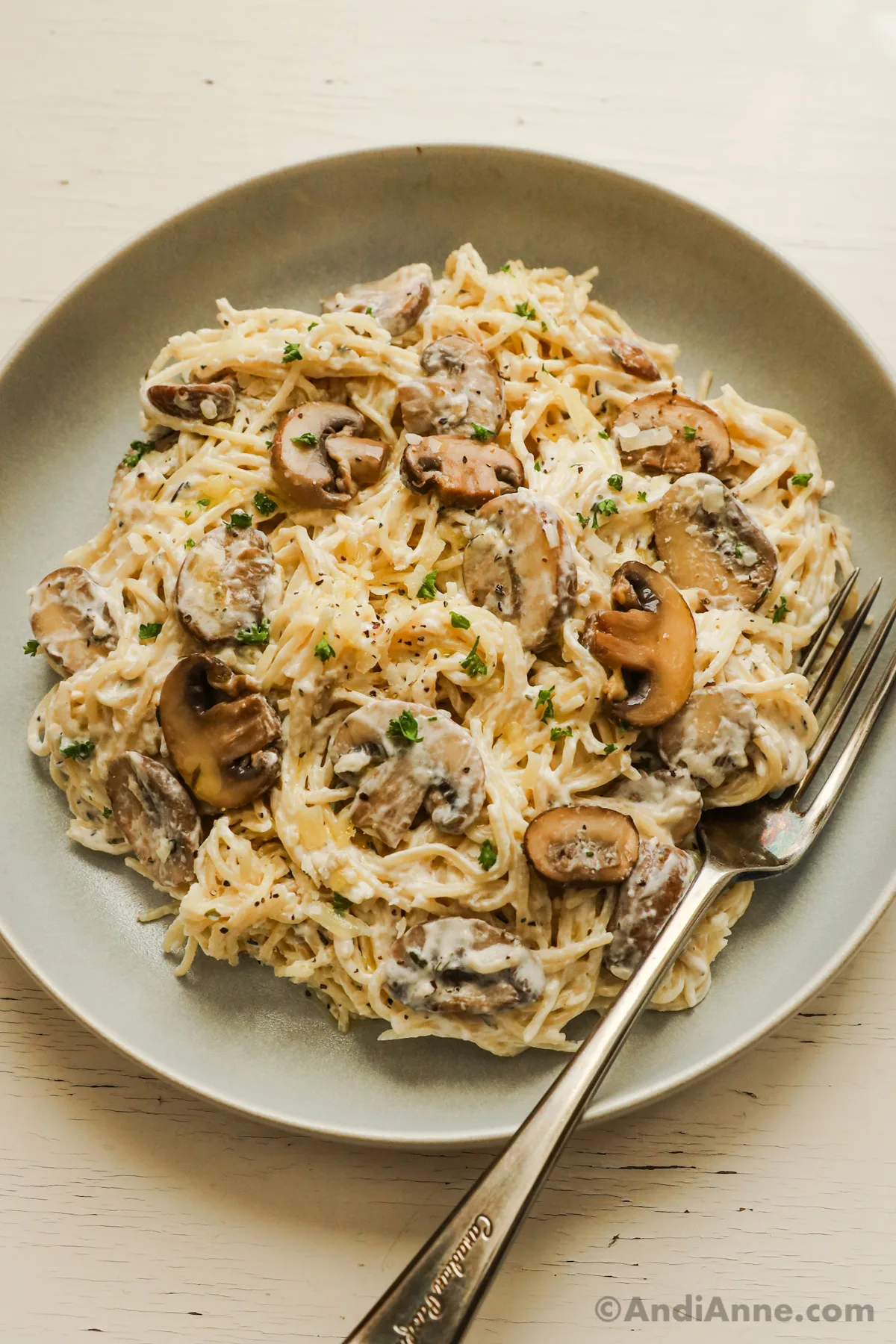 A plate of creamy mushroom pasta with a fork.