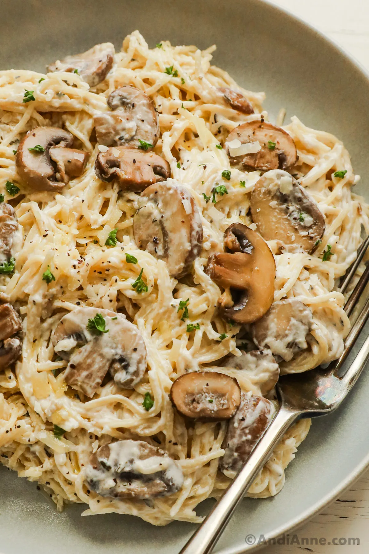 Close up of a plate of creamy mushroom pasta with a fork.