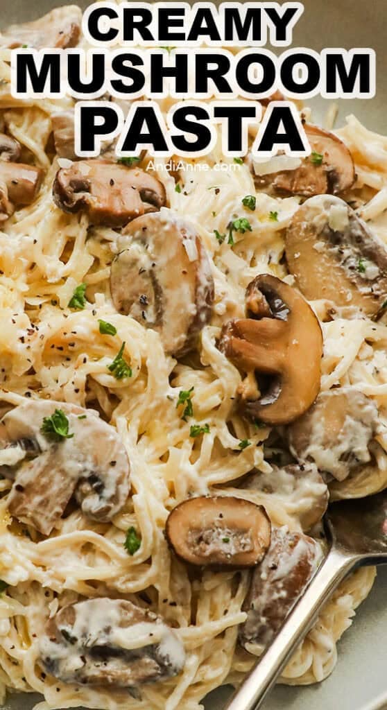 Close up of a fork with creamy mushroom pasta