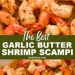 Close up of garlic butter shrimp scampi