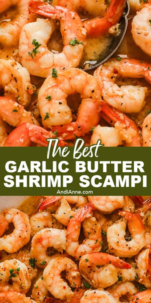 Close up of garlic butter shrimp scampi