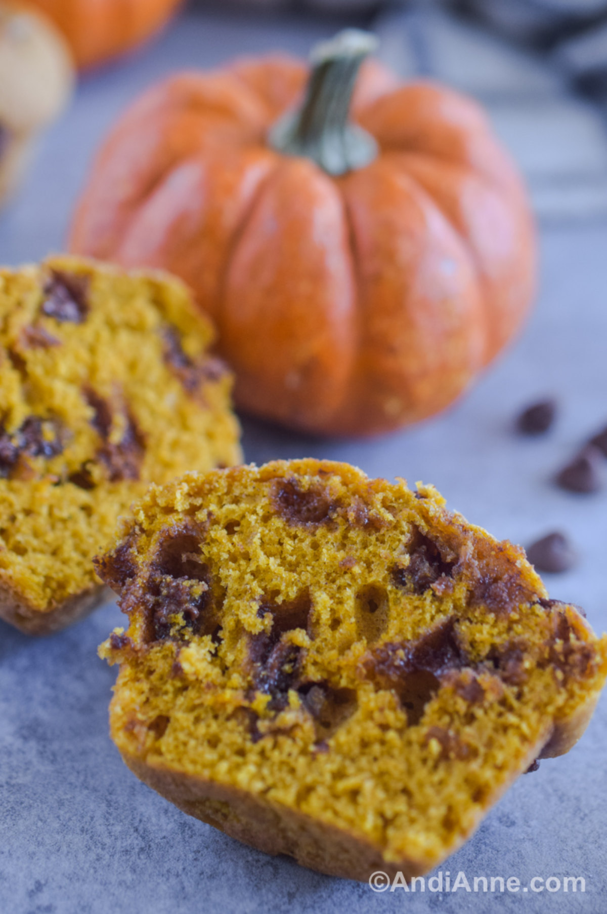 Close up of a muffin sliced in half with a pumpkin in the background.