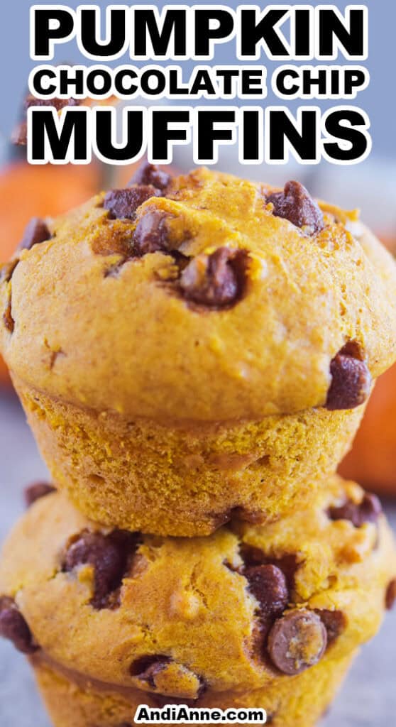 close up of 2 pumpkin chocolate chip muffins