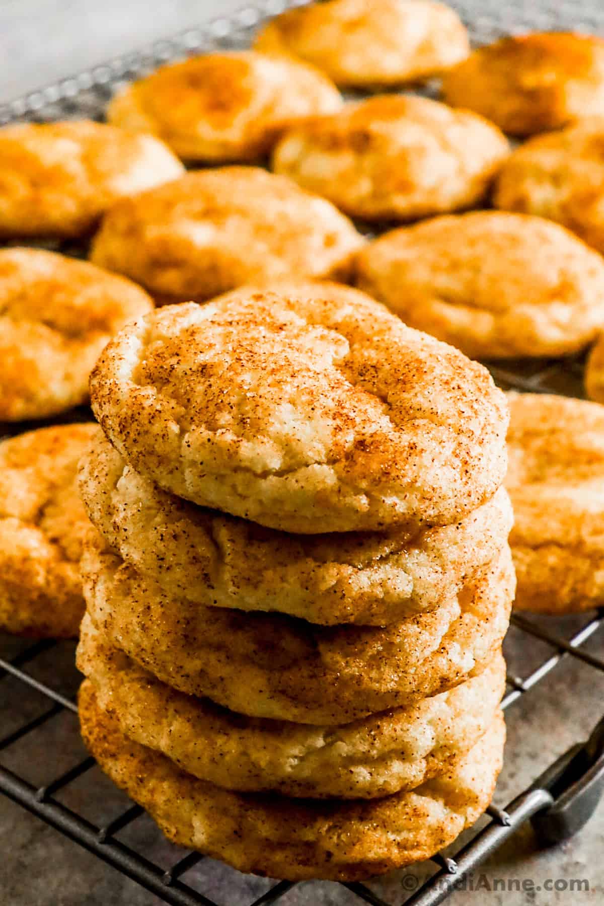 a stack of snickerdoodle cookies