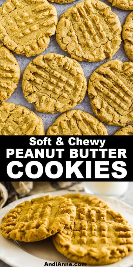 Close up of soft chewy peanut butter cookies