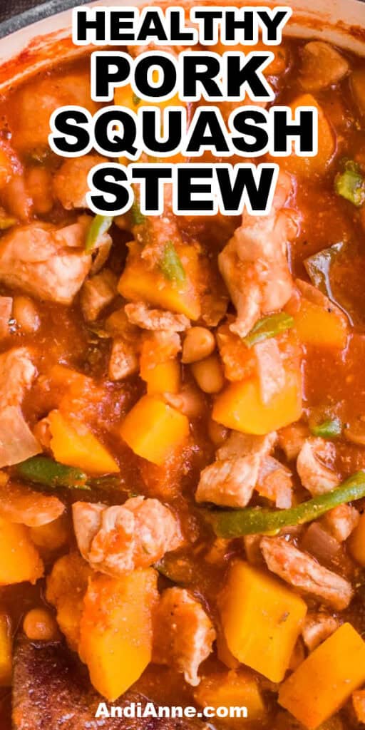 Close up of healthy pork squash stew