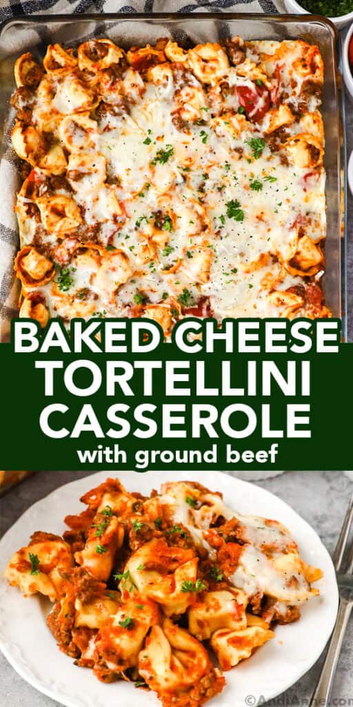 Baked cheese tortellini casserole dish with a plate and a serving of the tortellini dish.