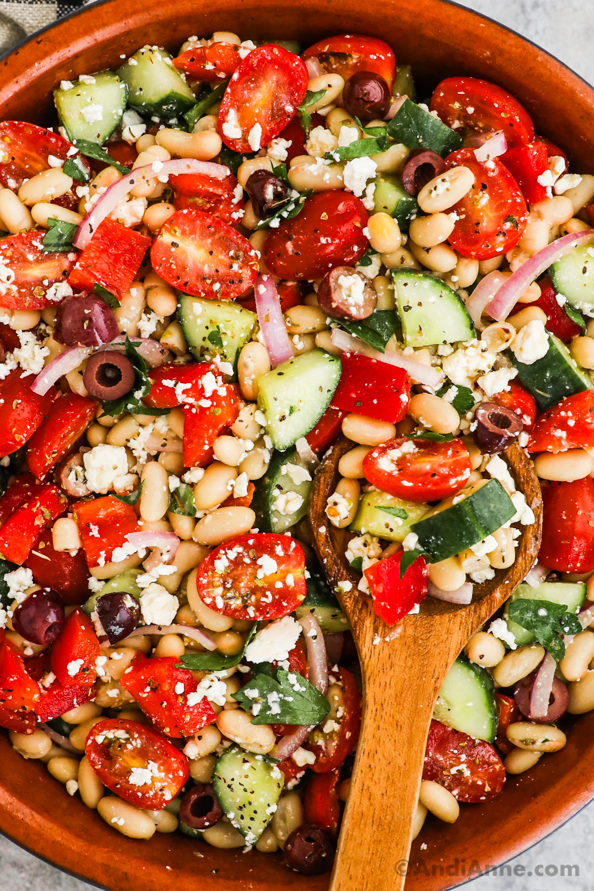 Close up of chopped cucumber, tomato, olives, red onion and cannelini beans in a salad.