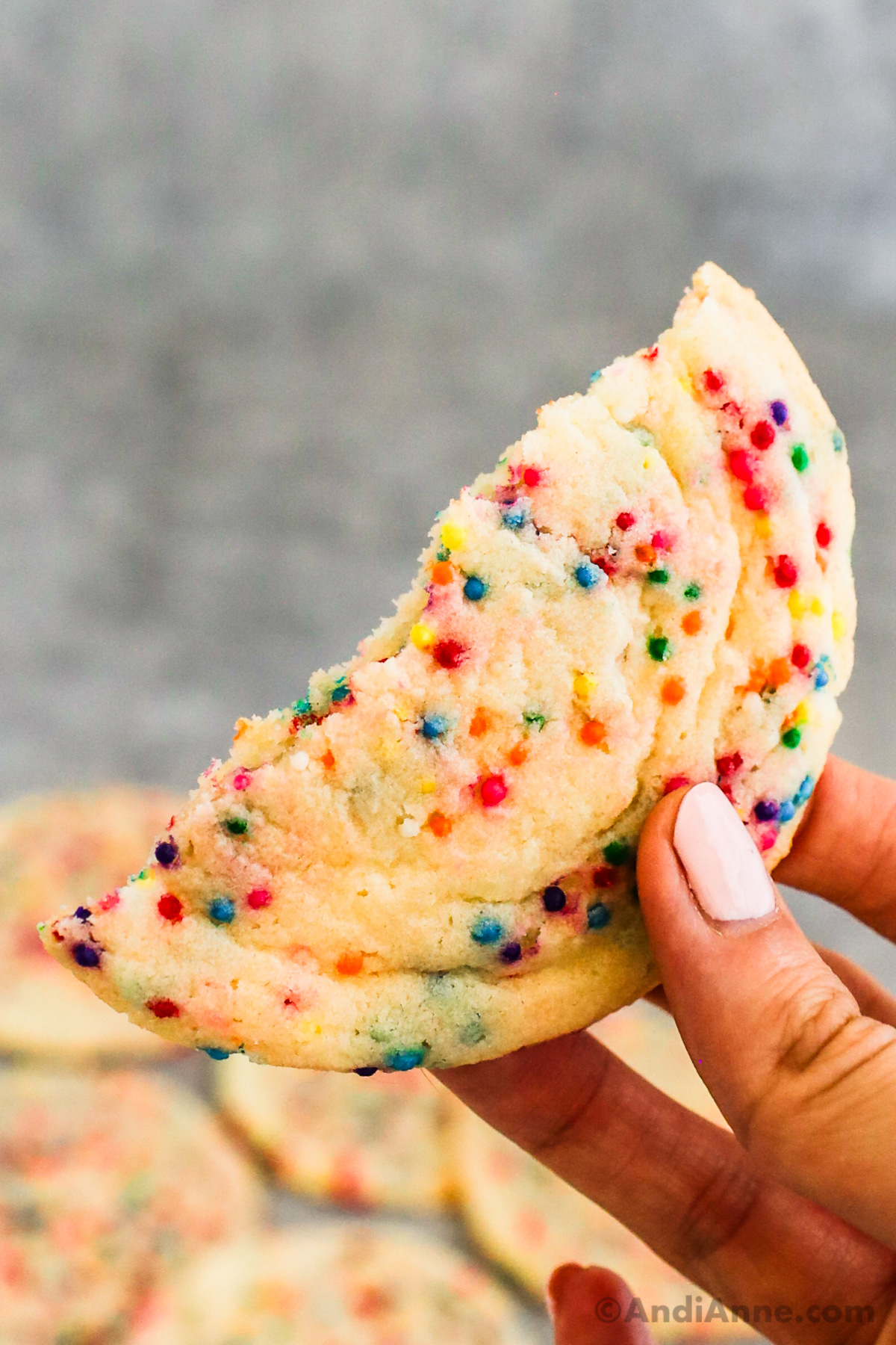 A hand holding half of a sprinkle cookie.