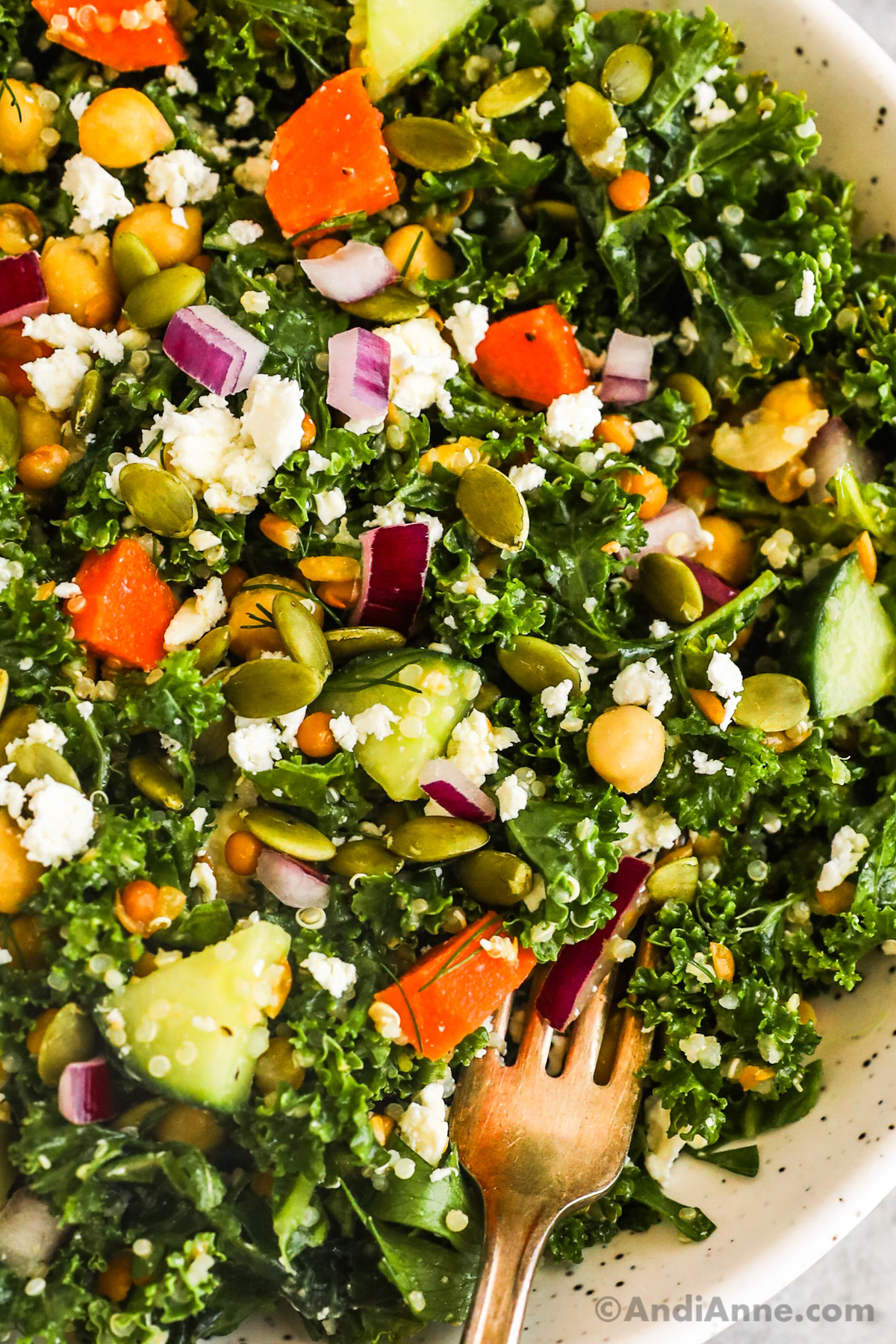 Close up of chopped kale, red onion, carrots, cucumbers, chickpeas, roasted pepitas and a fork