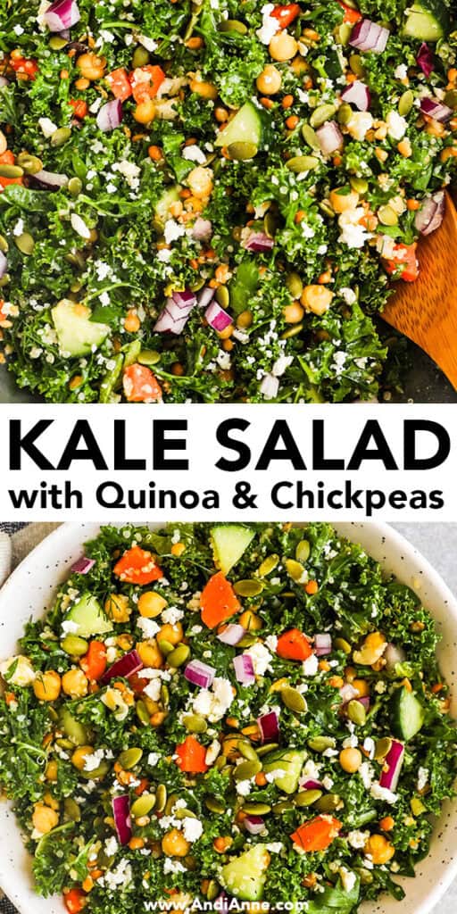 Close up of a kale salad with quinoa and chickpeas and other vegetables