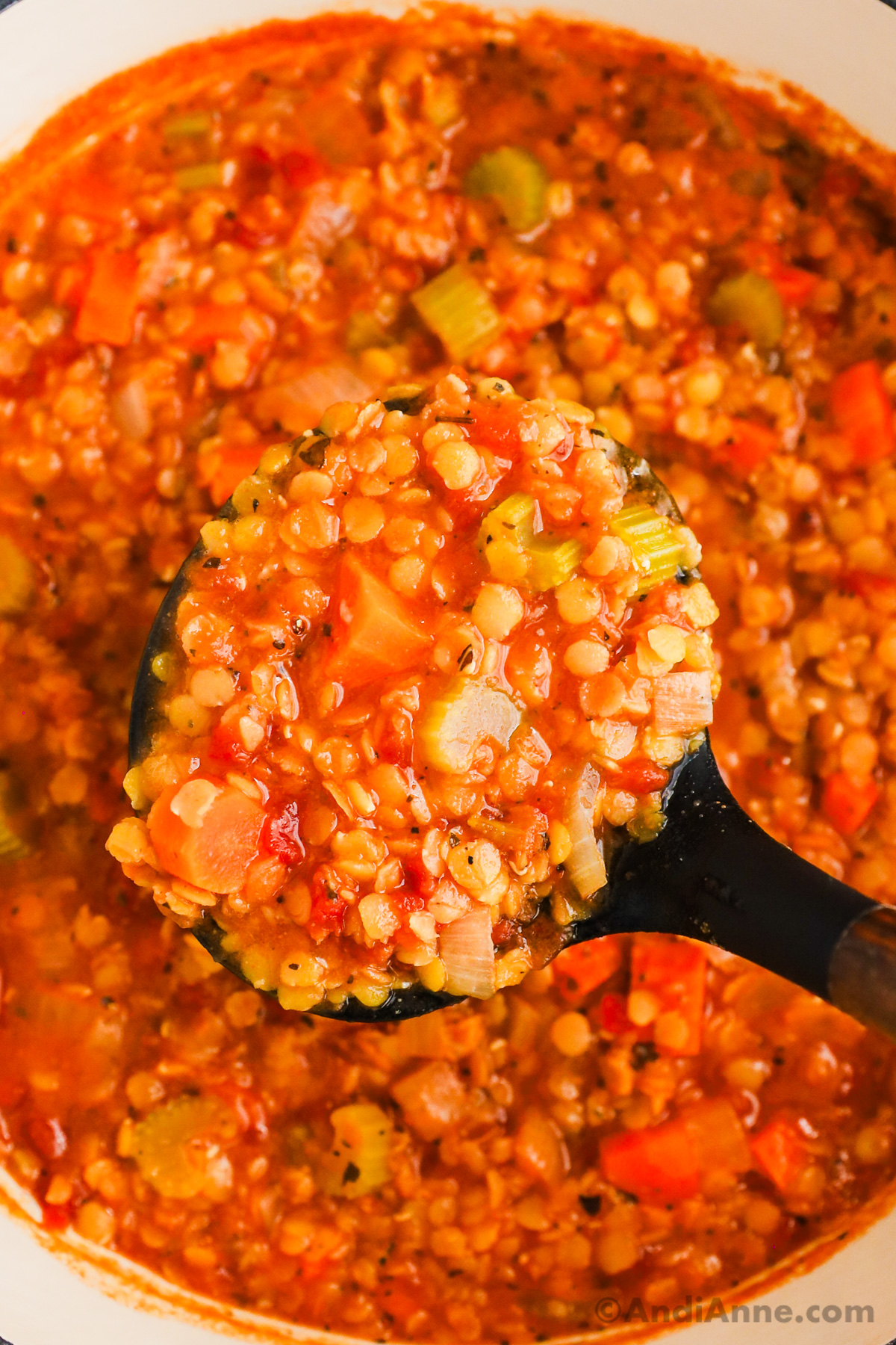 Close up of soup ladle with a spoonful of lentil soup.