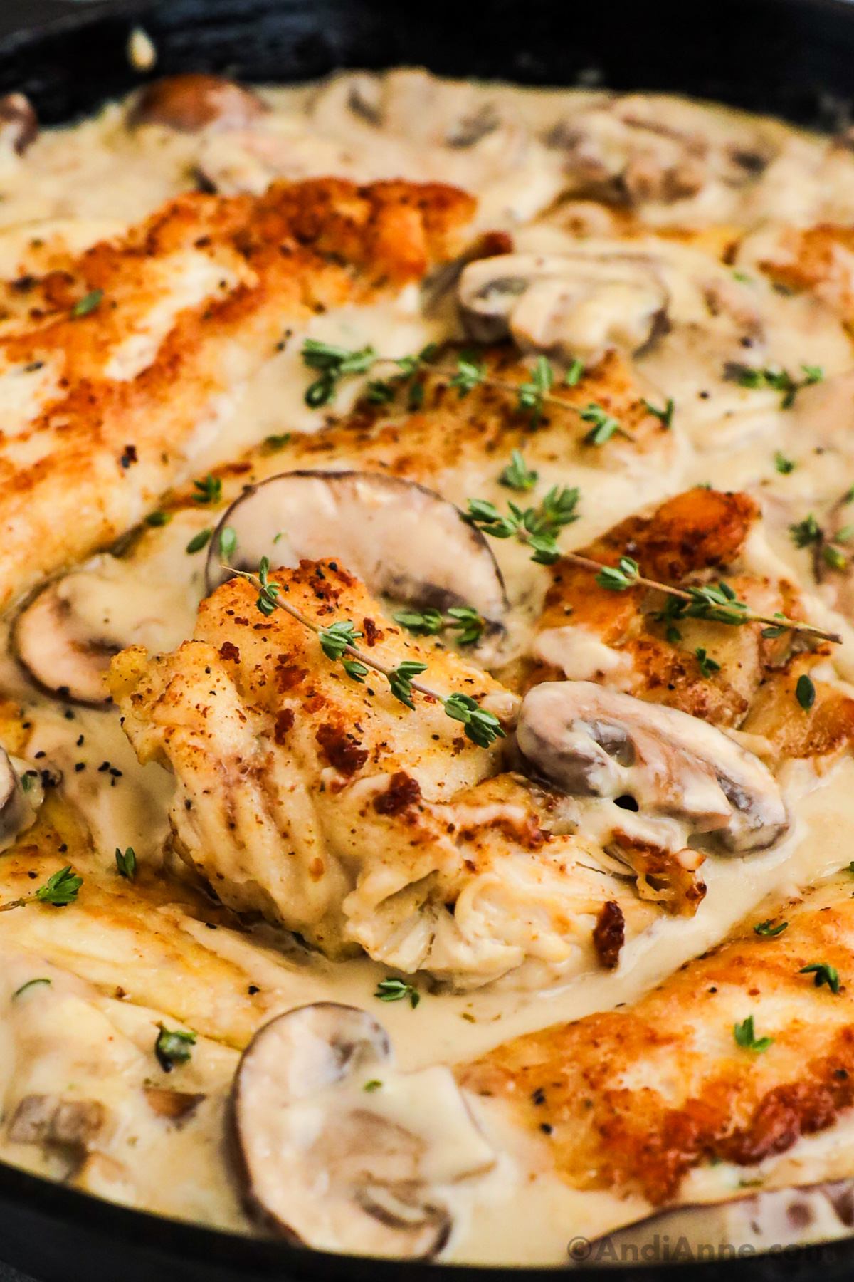 Close up of crispy chicken in a mushroom sauce with sprigs of thyme