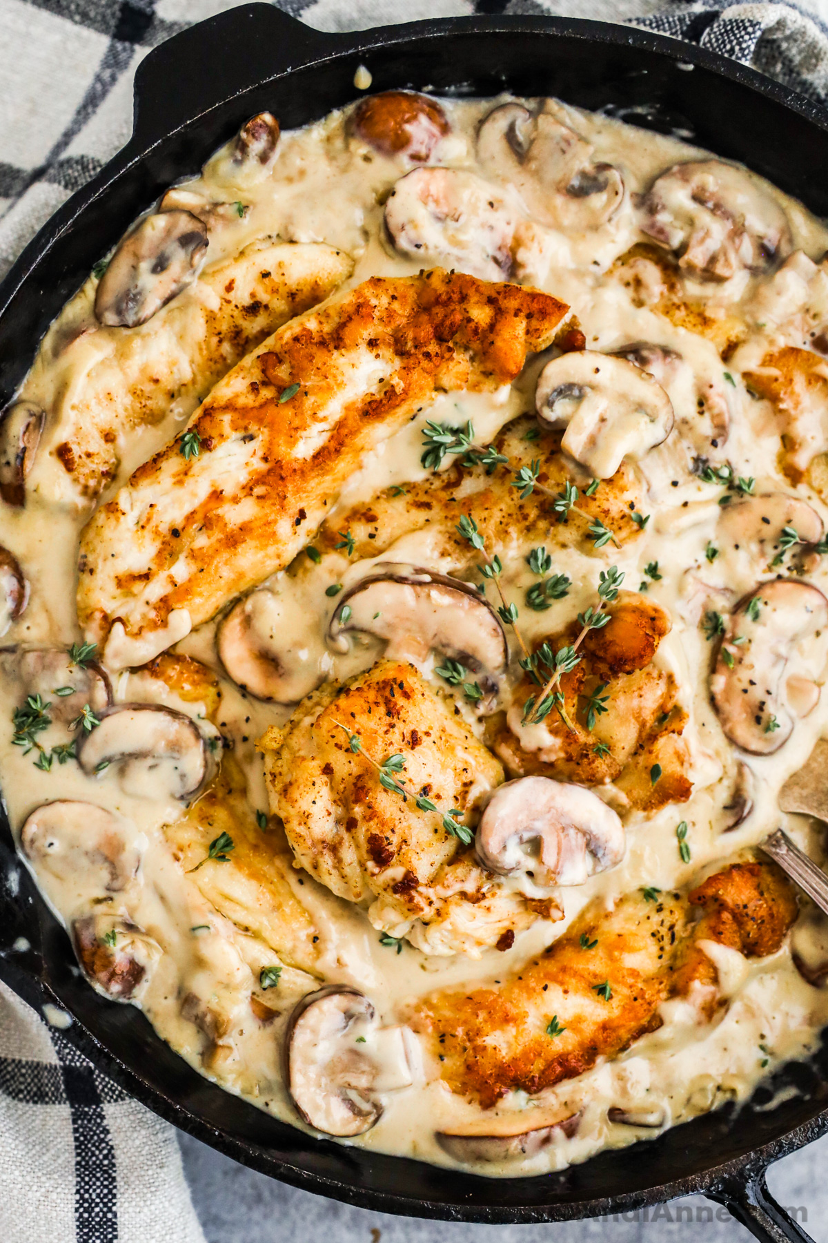 Close up of chicken in a creamy mushroom sauce with sprigs of thyme