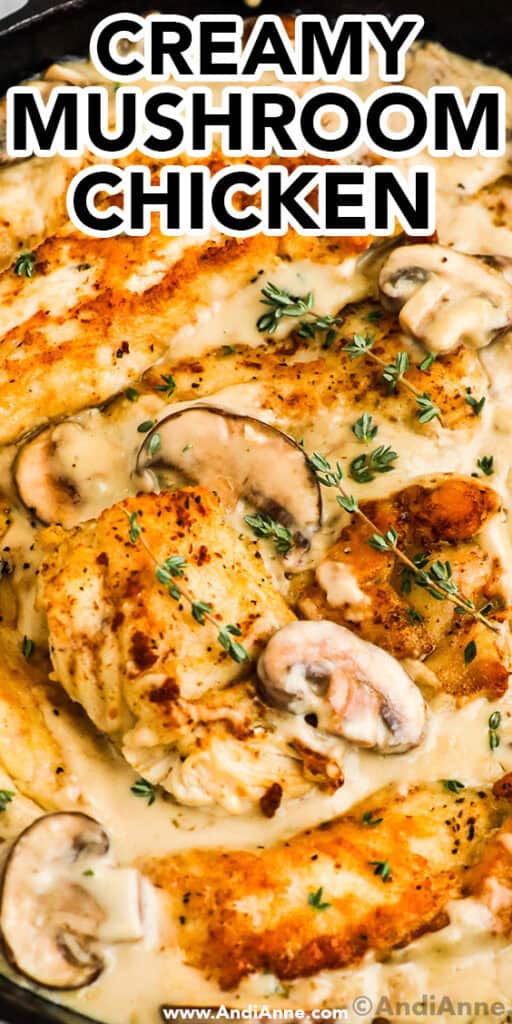 Close up of creamy mushroom chicken in a skillet