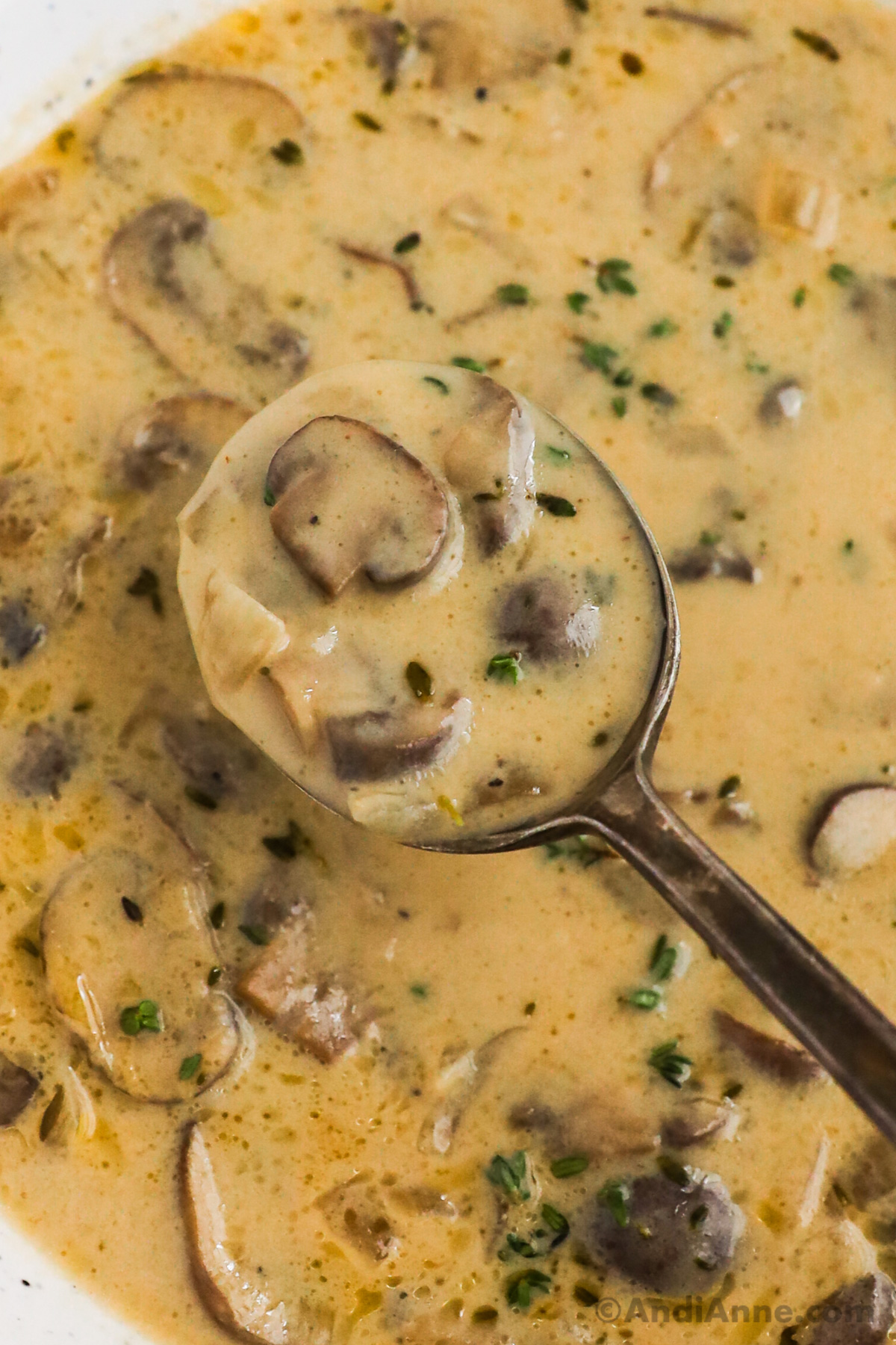 A spoonful of creamy mushroom soup close up