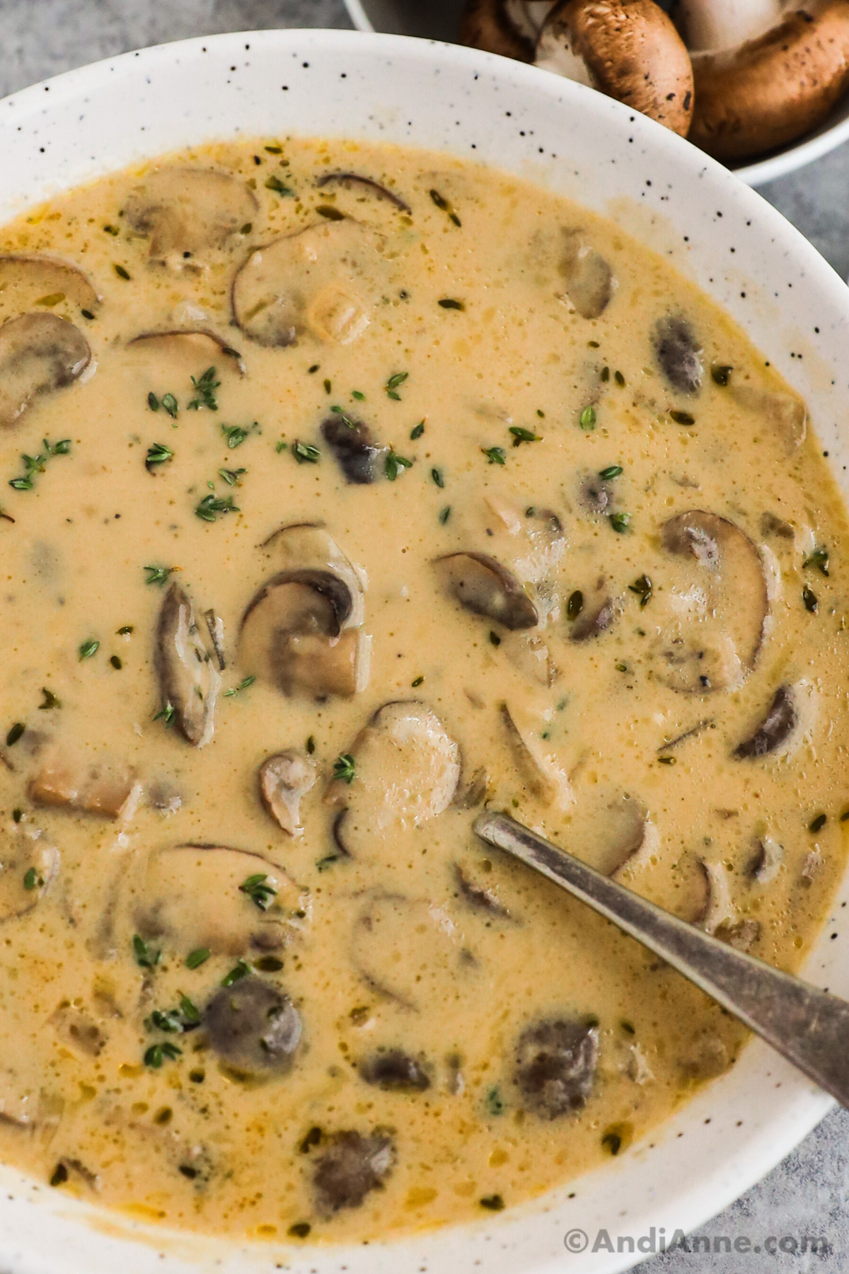 Close up of a bowl of creamy mushroom soup with a spoon