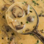 Close up of a spoon full of creamy mushroom soup