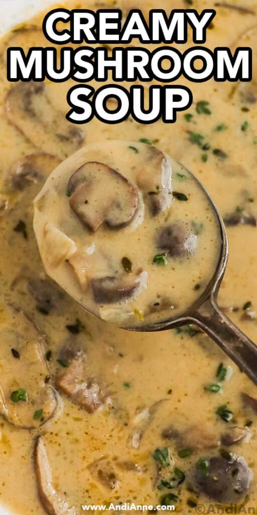 Close up of a spoon full of creamy mushroom soup