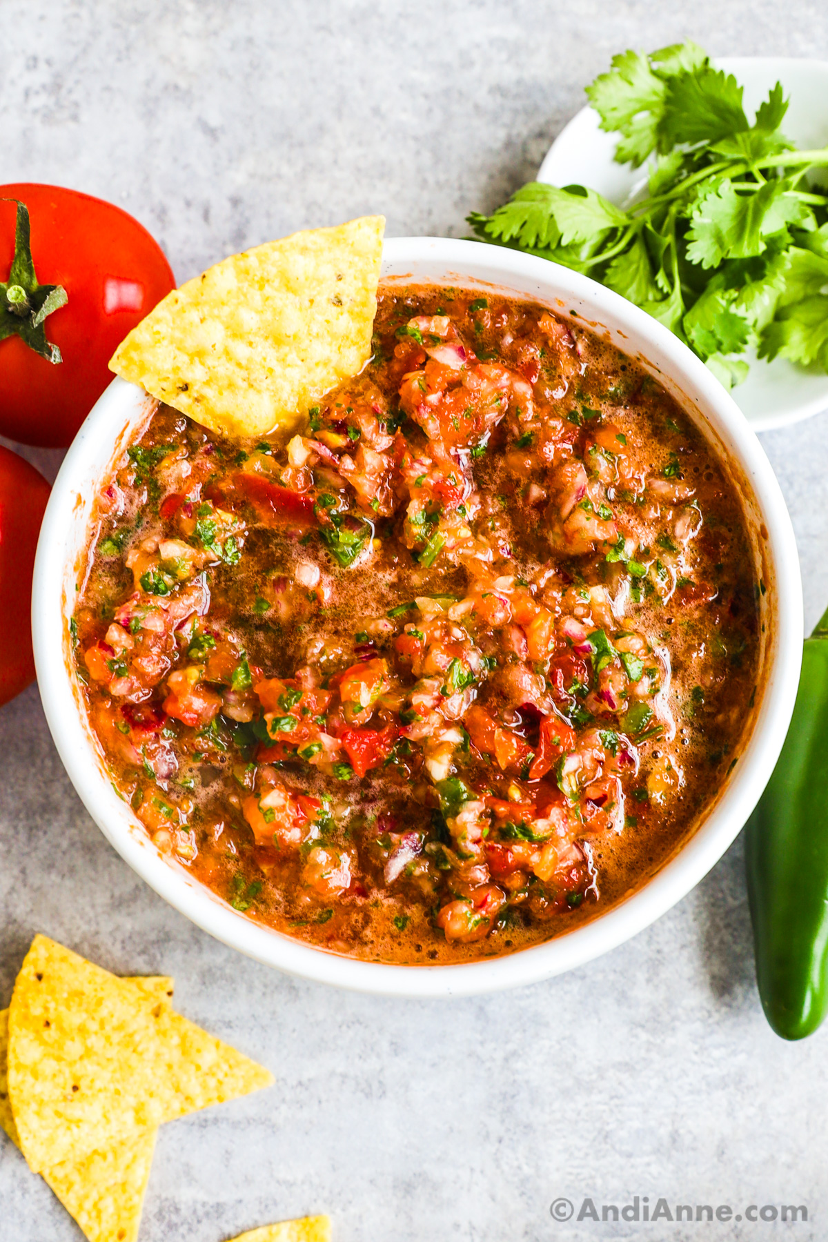 Bowl of salsa with a chip on the side, and fresh tomatoes, cilantro and jalapeno surrounding it.