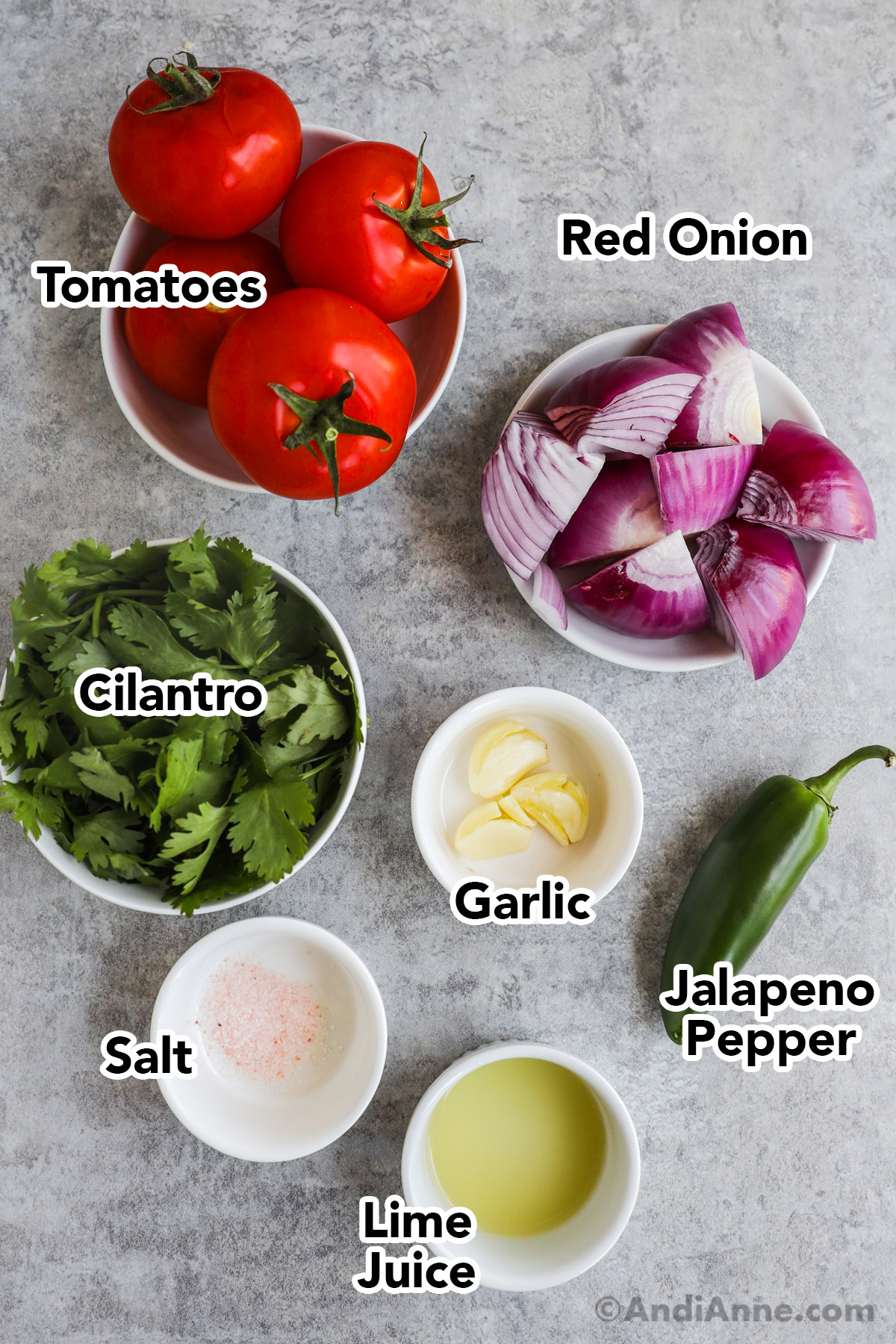 Fresh tomatoes, chopped red onion, cilantro, garlic, a jalapeno pepper, some salt and some lime juice - all in bowls on a counter