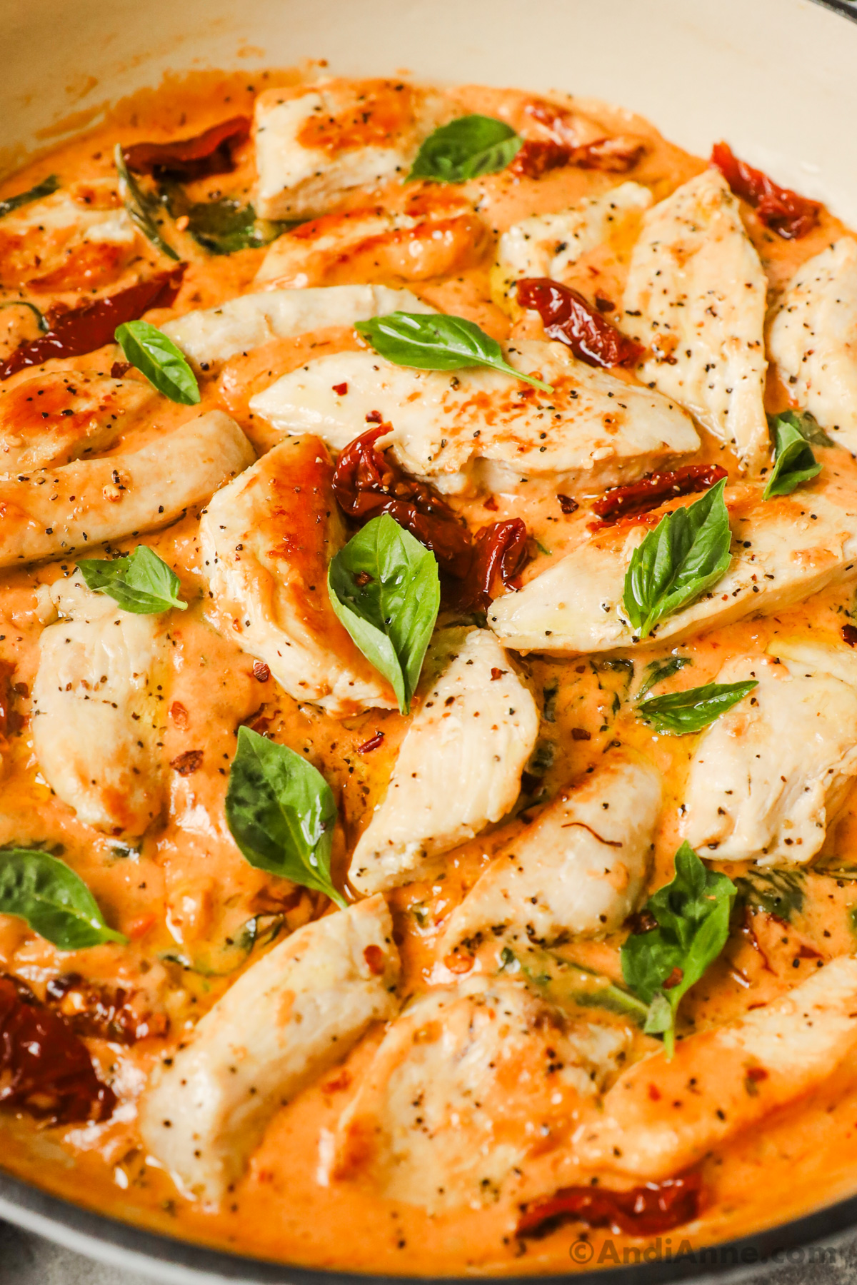 Close up of chicken breast, tomatoes and basil in a creamy sauce.