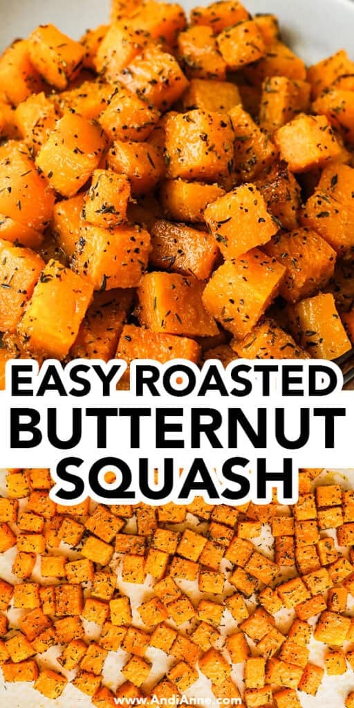 cubed roasted butternut squash close up covered with spices.