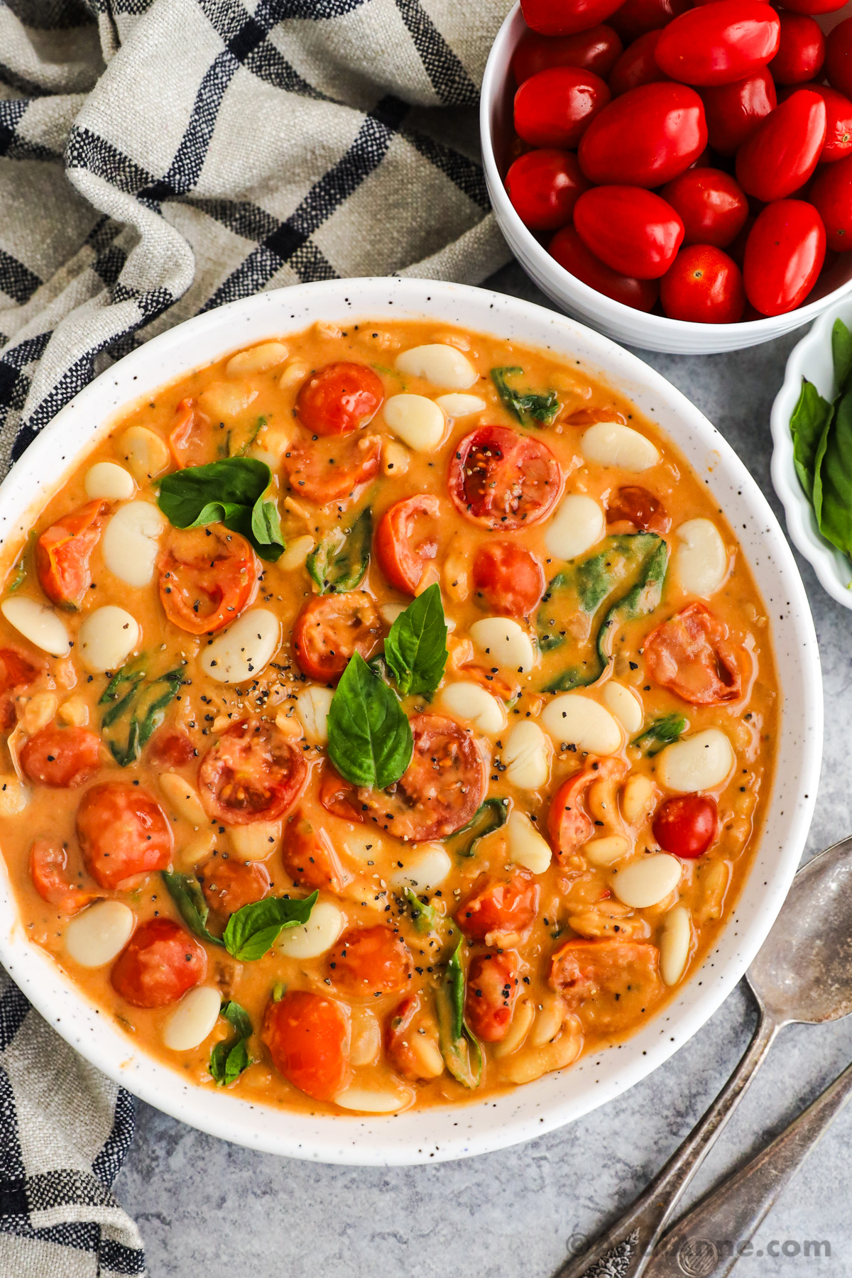 Close up of tomato basil butter beans recipe