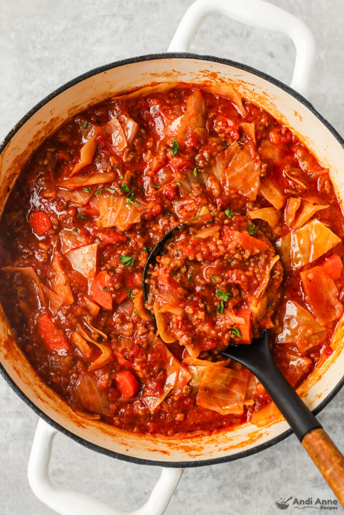 Pot of cabbage roll soup