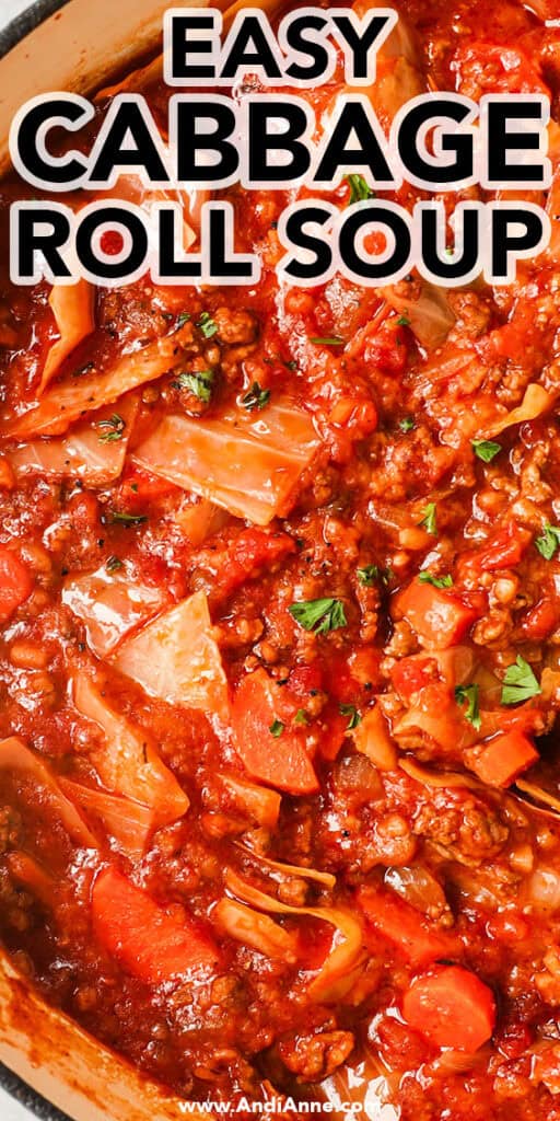 Close up of easy cabbage roll soup