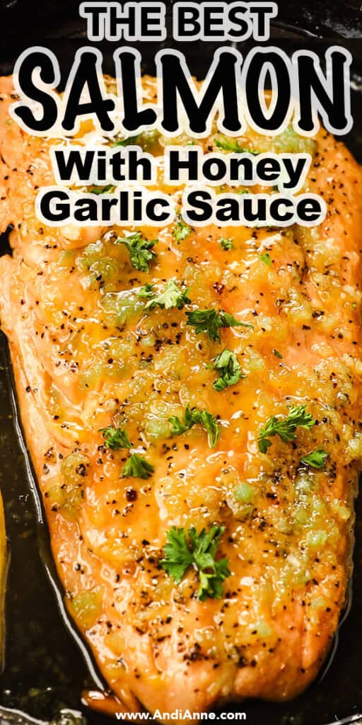 Close up of salmon fillet in honey garlic sauce