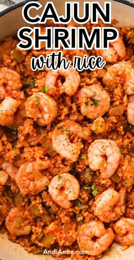 a pot of cajun shrimp with rice