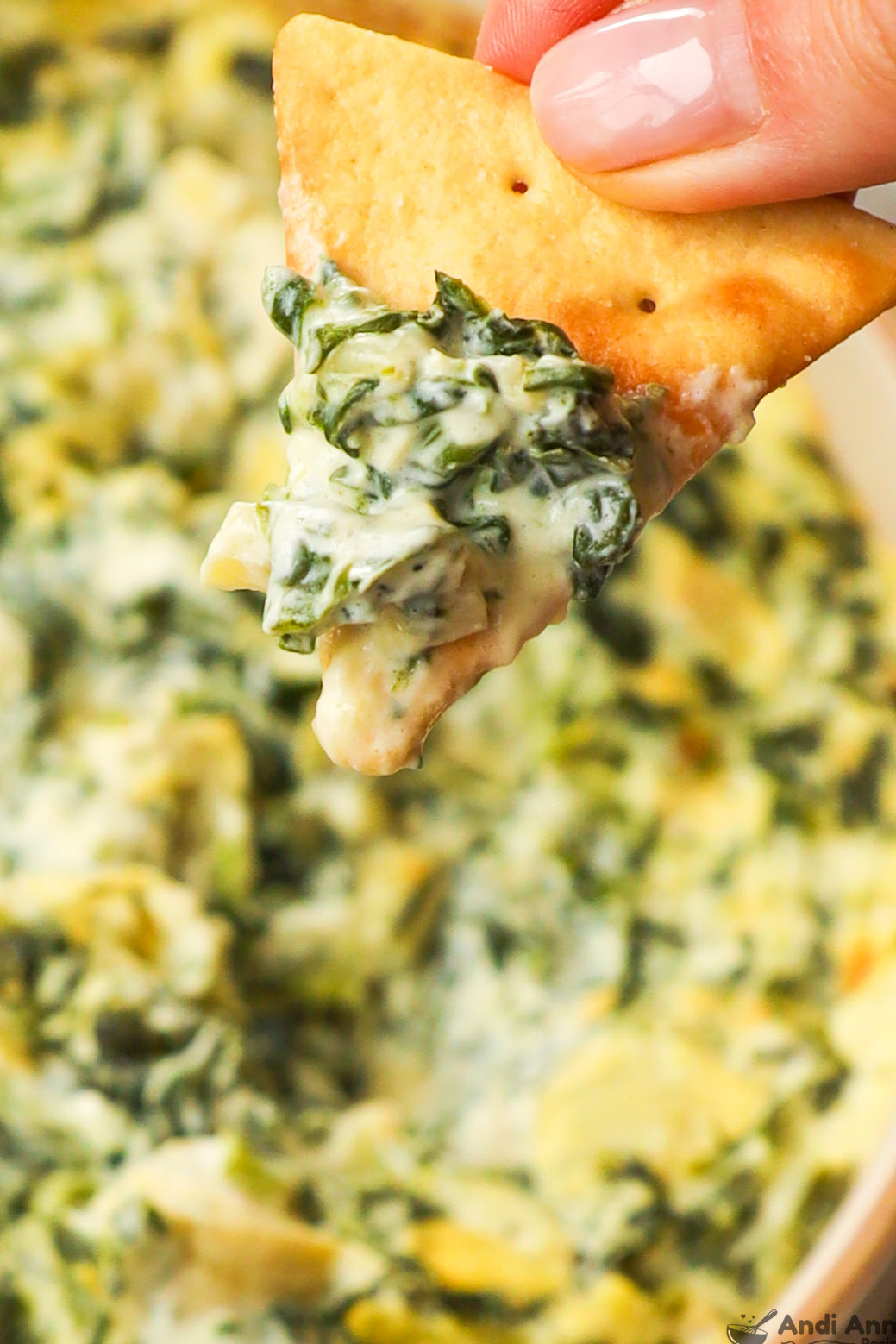 a chip with spinach artichoke dip