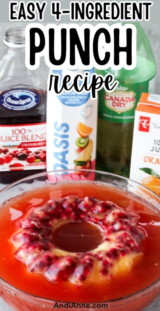 A bowl of punch with containers of orange juice, cranberry juice, tropical juice and ginger ale in the background
